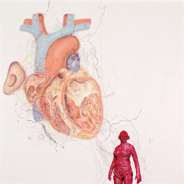 Mixed Media with Silver Point