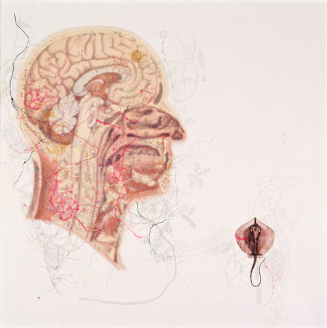 You may think what you wish|Anamika V.- Mixed Media with Silver Point on Canvas , 2015, 22 x 22 inches
