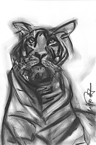 Tiger III|S. Mark Rathinaraj- Charcoal on Board, , 15.5 x 10 inches